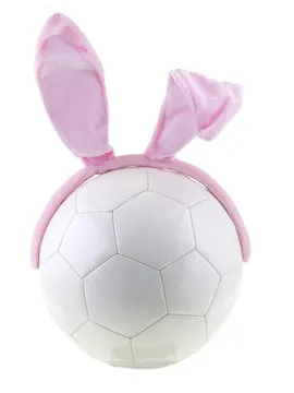 企业资质与办公环境